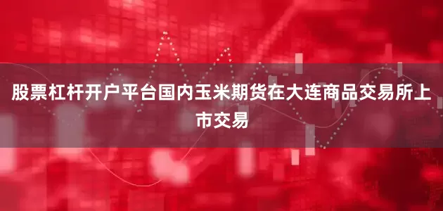 股票杠杆开户平台国内玉米期货在大连商品交易所上市交易