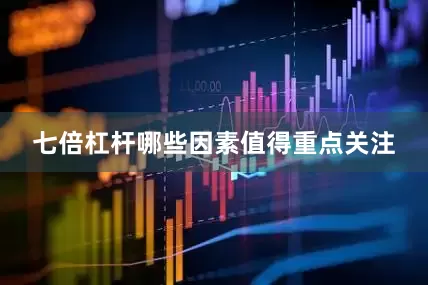 七倍杠杆哪些因素值得重点关注