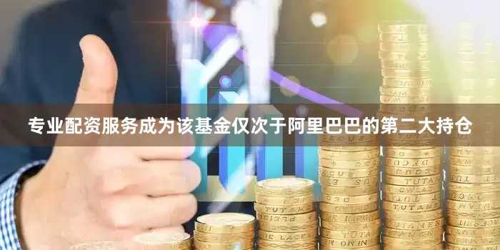 专业配资服务成为该基金仅次于阿里巴巴的第二大持仓